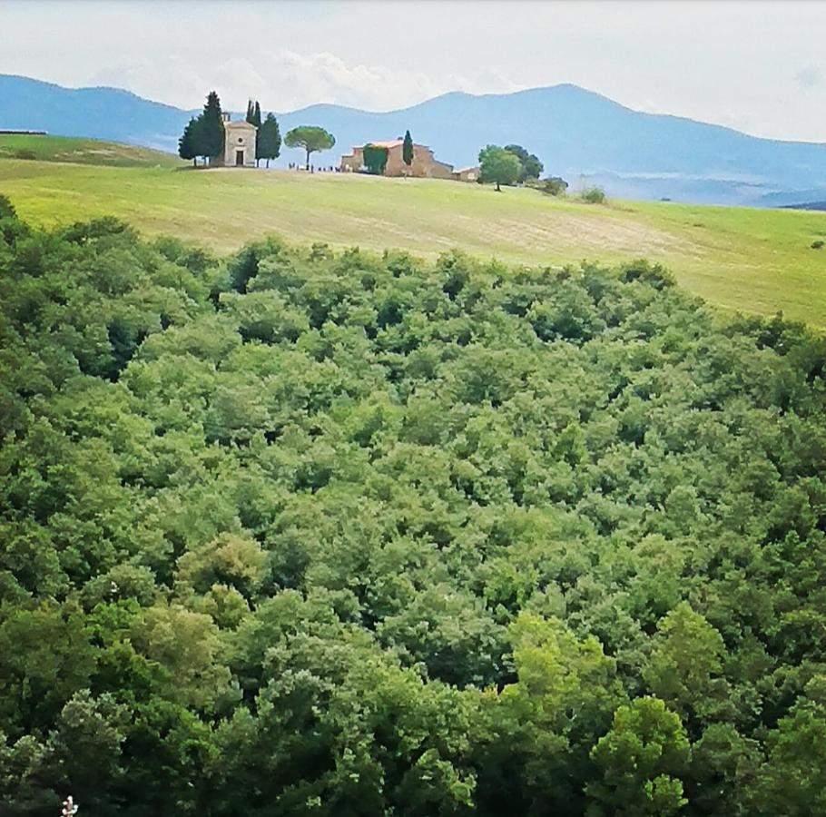 Affittacamere Alba Fiorita Castiglione d'Orcia Exterior photo