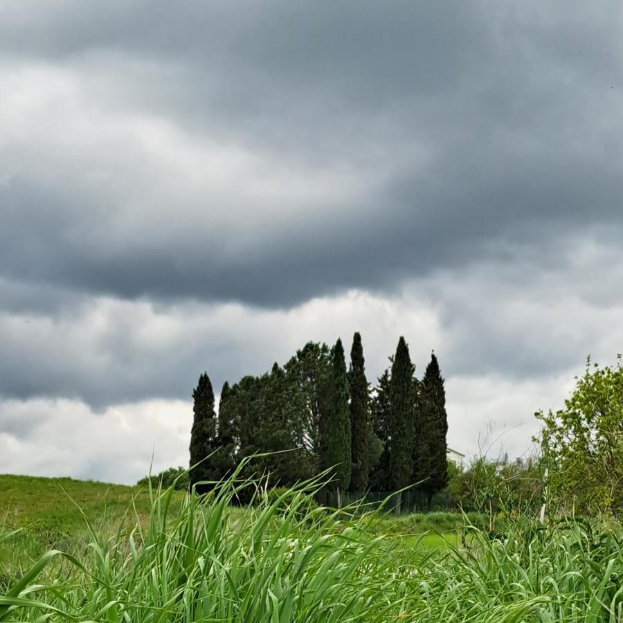 Affittacamere Alba Fiorita Castiglione d'Orcia Exterior photo