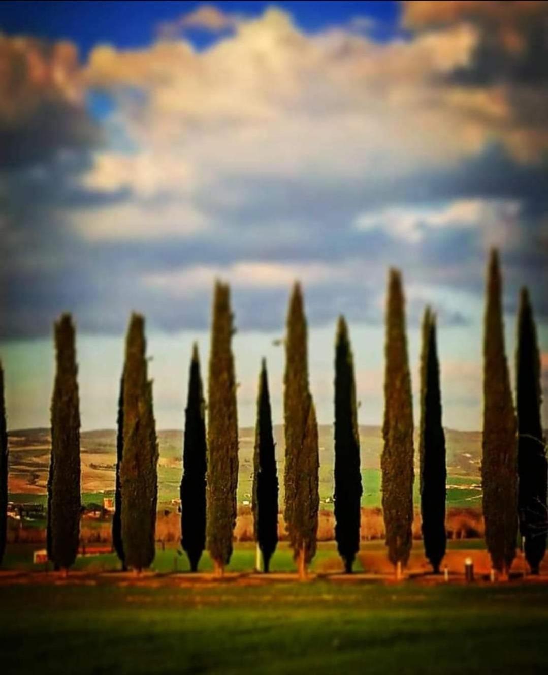 Affittacamere Alba Fiorita Castiglione d'Orcia Exterior photo